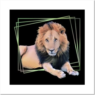 Lion drawing with graphic - big cat in Kenya / Africa Posters and Art